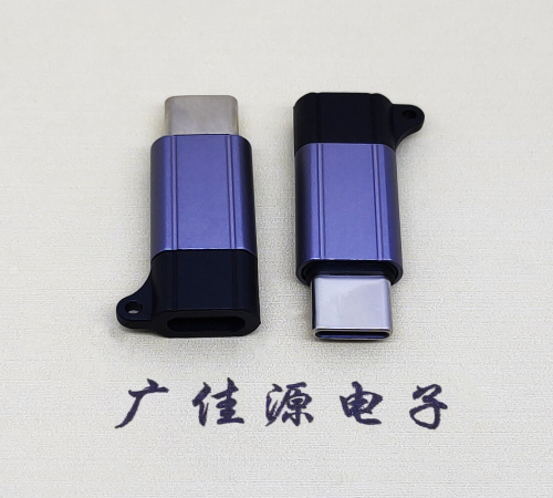 靈山Type-C母轉(zhuǎn)Type-C公 USB3.1 PD100W快沖接口